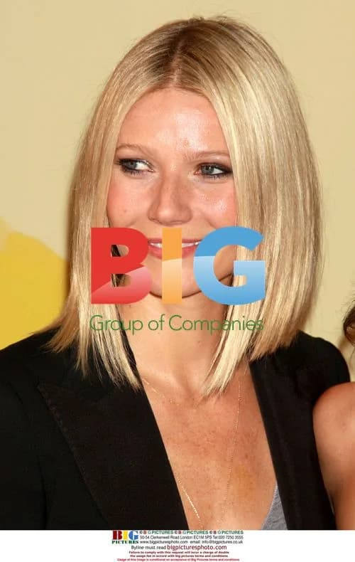 Gwyneth Paltrow at 'Spain...on the Road Again' launch