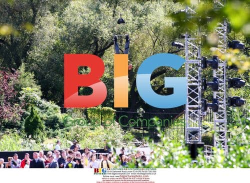 David Blaine Poses for Photos in Central Park