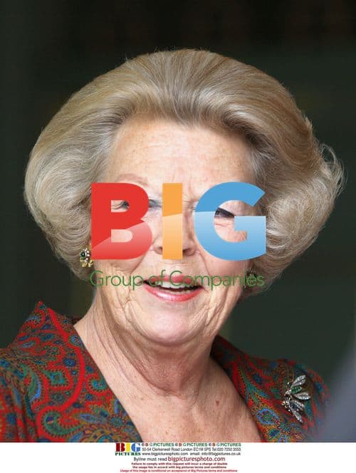 Queen Beatrix Purchases Childrenâs Charity Stamps