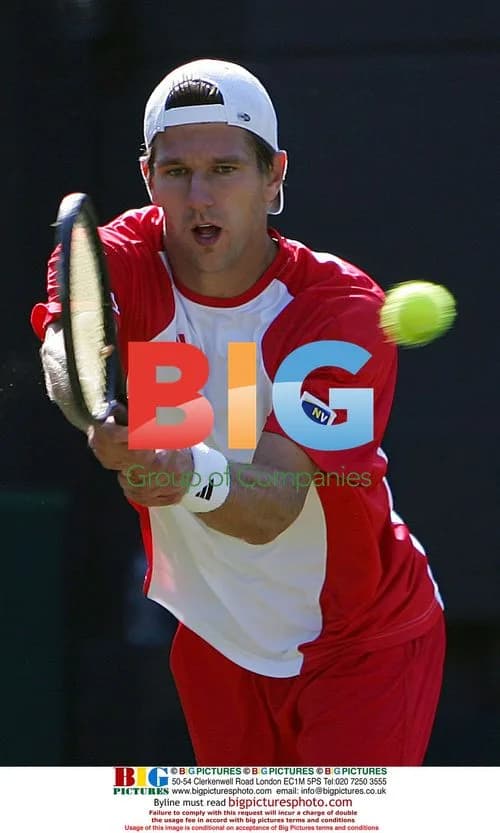 Jurgen Melzer in Davis Cup action