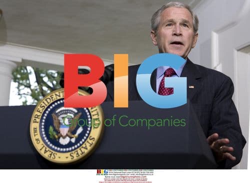 Bush statement on financial bailout