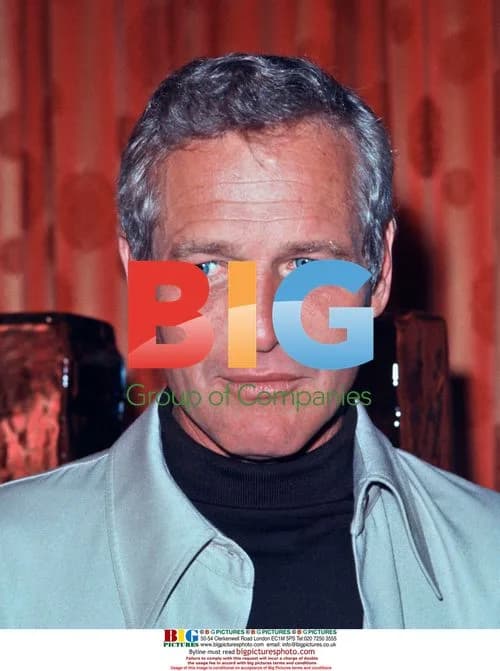 Paul Newman Portrait