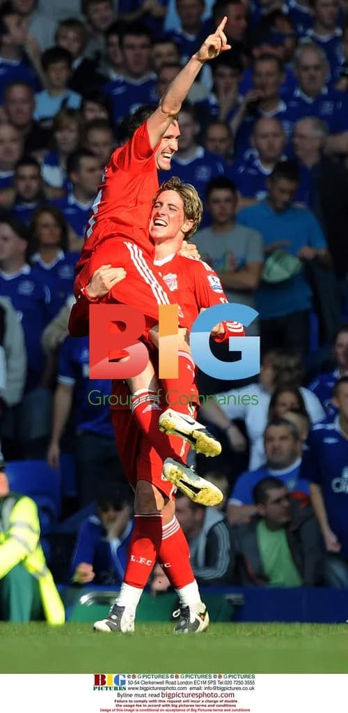 Fernando Torres celebrates scoring for Liverpool