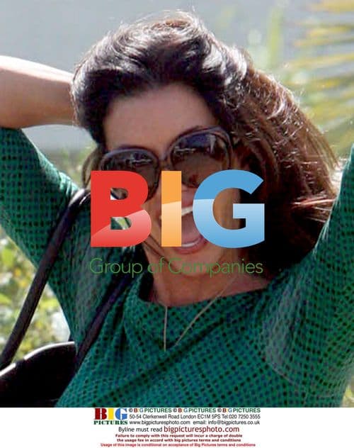 Janice Dickinson Poses at Lunch in LA