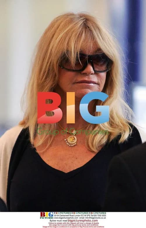 Goldie Hawn at LAX Airport