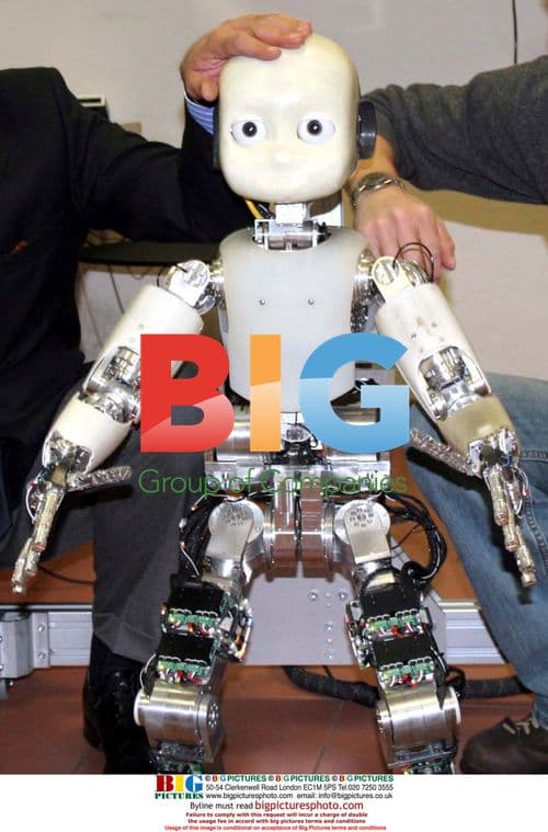 Professor Luciana Fadiga and iCub Robot