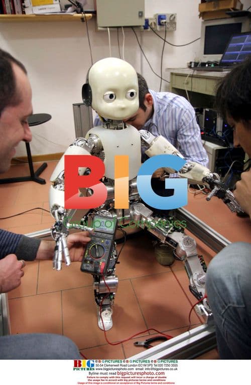 Professor Fadiga and iCub Robot