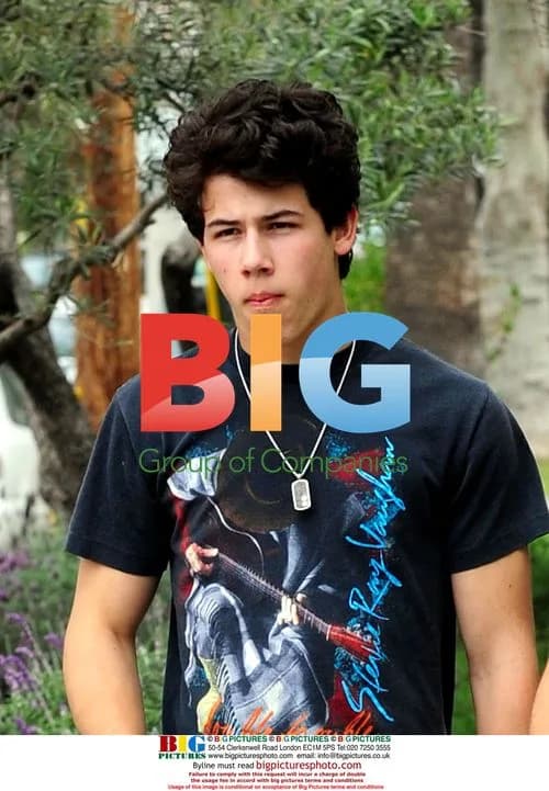 Jonas Brothers take a lunch break