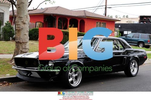 The Jonas Brothers on Melrose Ave