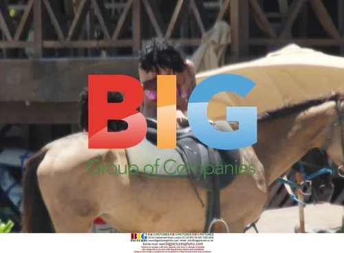 Amy Winehouse rides horse in St. Lucia