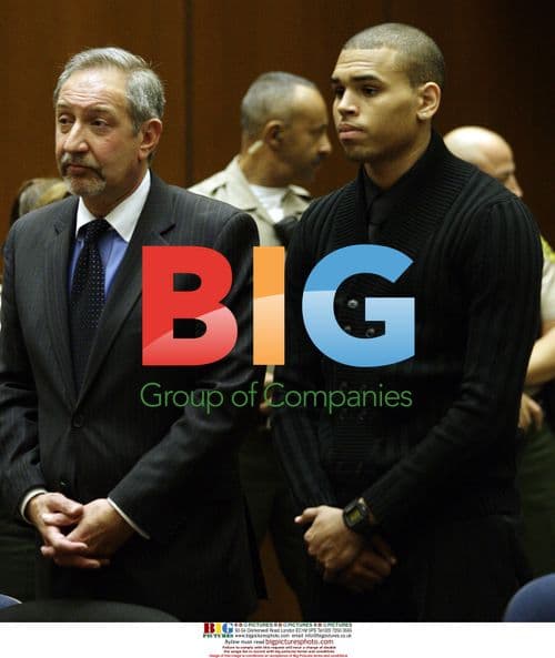 Chris Brown Appears in Court