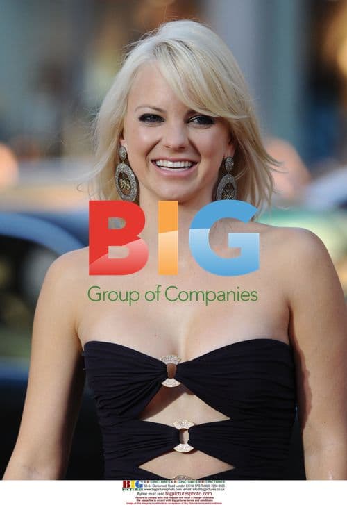 Anna Farris at Observe and Report Premiere