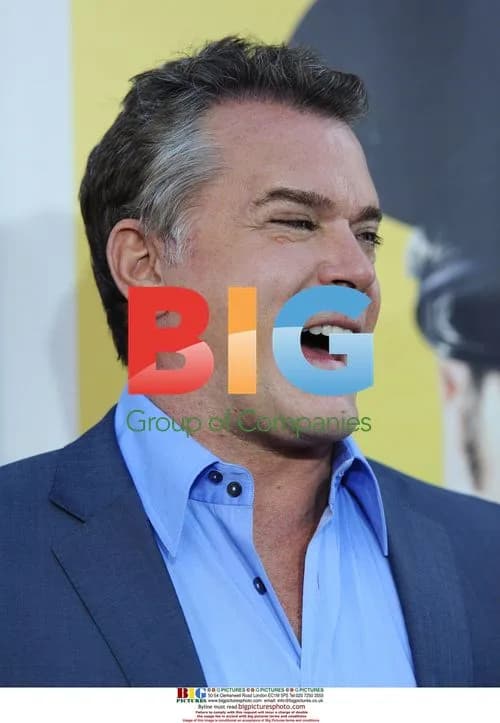 Ray Liotta at "Observe and Report" Premiere