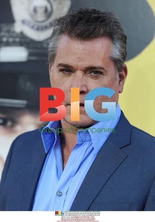 Ray Liotta at "Observe and Report" Premiere