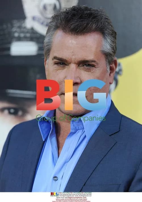 Ray Liotta at "Observe and Report" Premiere