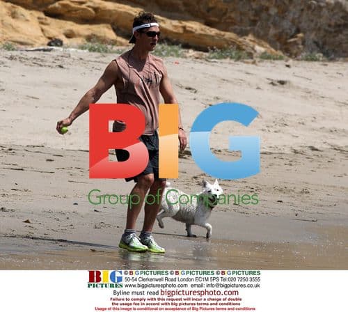 Matthew McConaughey playing fetch with dog