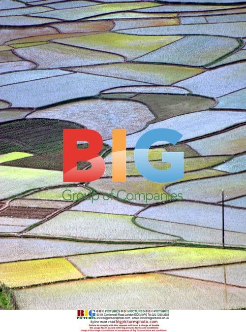 Lone worker in Guangxi fields, China