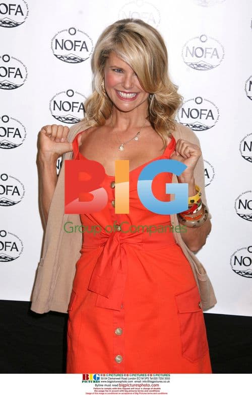 Christie Brinkley at NOFA-NY Luncheon
