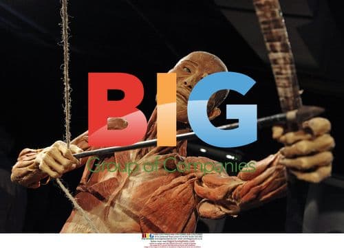 Preserved Chinese cadaver on display at "Our Body" exhibition