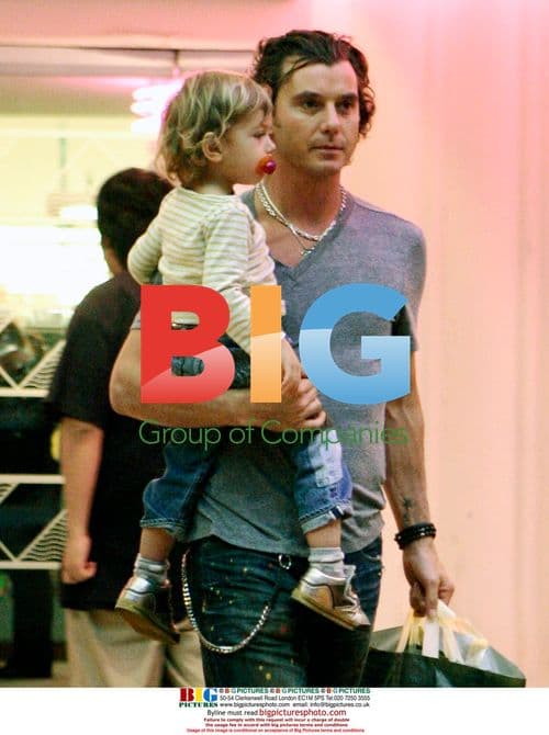 Gavin Rossdale takes son to bookstore