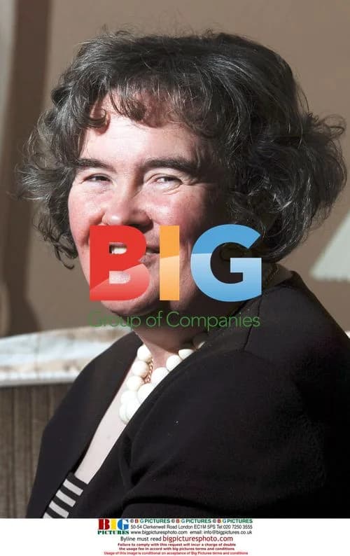 Susan Boyle's rise to fame