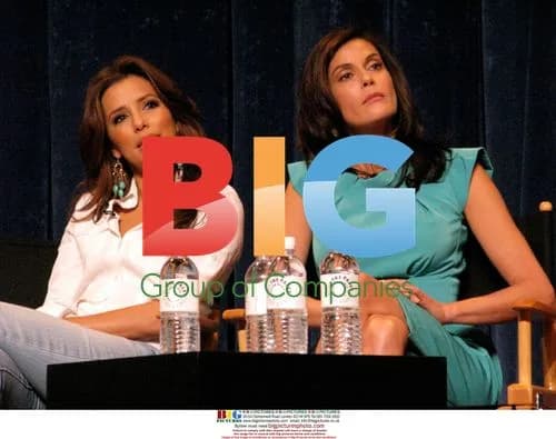 Desperate Housewives Panel Discussion