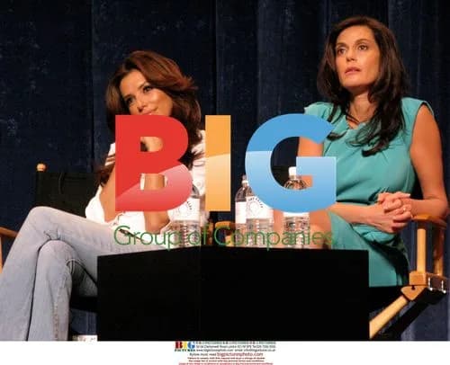 Desperate Housewives Panel at PaleyFest 2009