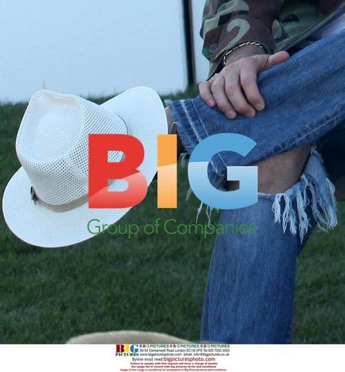 David Hasselhoff at Coachella