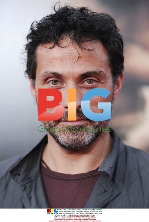 "The Soloist" LA Premiere