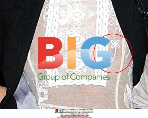 Kate Moss at PJ Harvey Gig