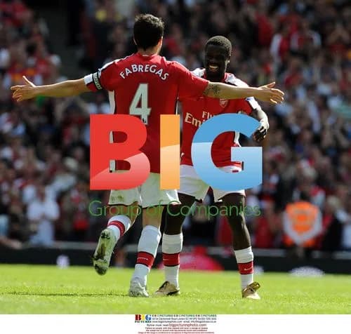 Cesc Fabregas celebrates Arsenal goal
