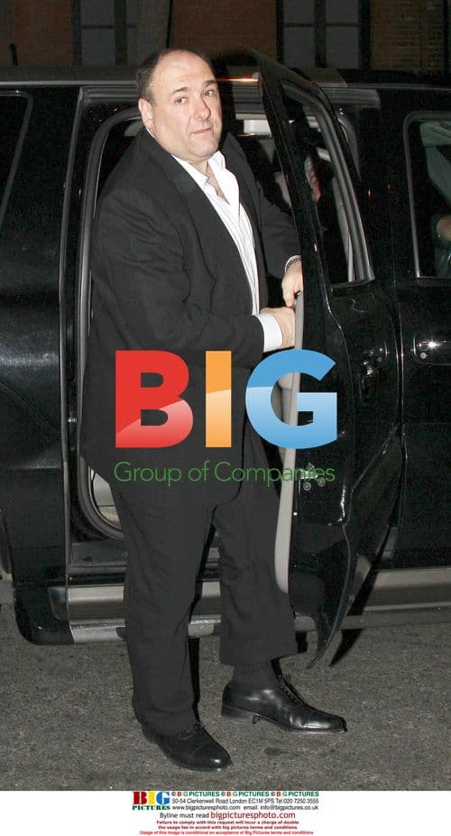 James Gandolfini and wife Deborah Lin