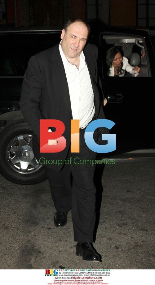 James Gandolfini and wife at Waverly Inn