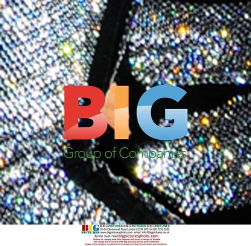 David Walliams helps Kate Moss with dress