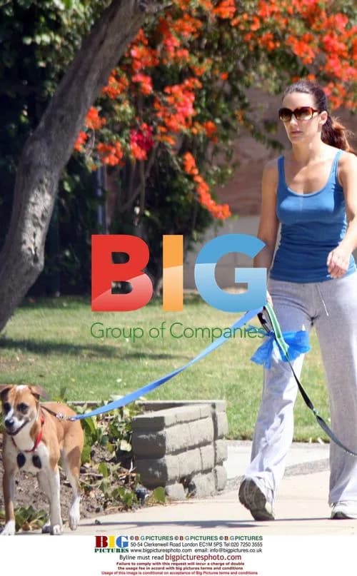 Kristen Davis walking dogs in LA