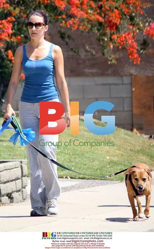Kristen Davis Walks Dogs in LA