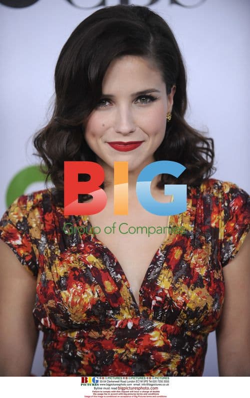 Sophia Bush at CBS, CW Party