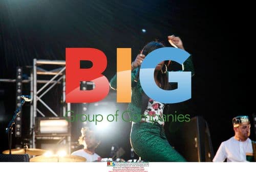 Santigold performs at Field Day Festival