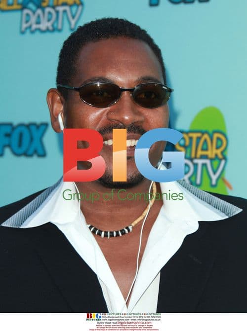 MYKELTI WILLIAMSON at FOX TCA Party