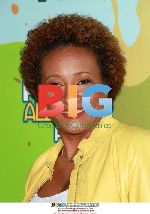 Wanda Sykes at FOX TCA Party