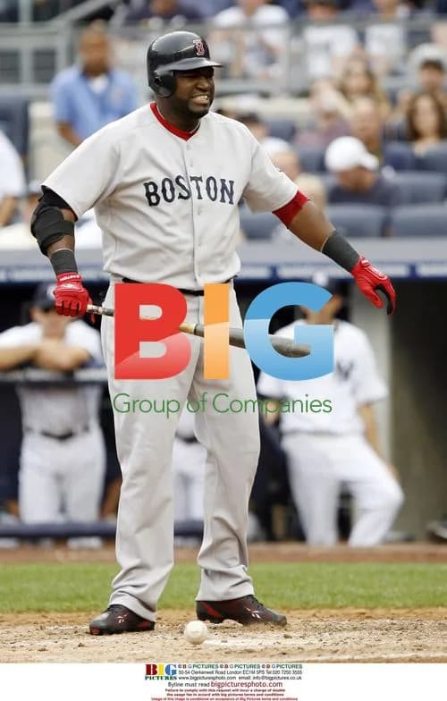 David Ortiz Reacts at Yankee Stadium