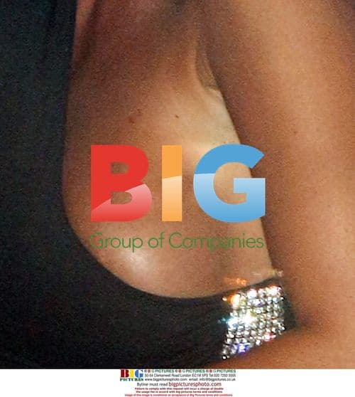 Katie Price parties with boyfriend Alex Reid