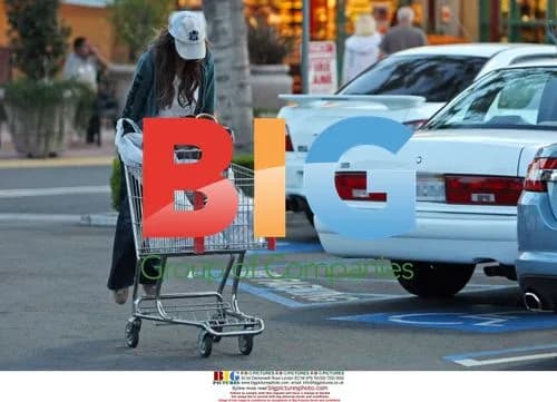 Jennifer Love Hewitt grocery shopping