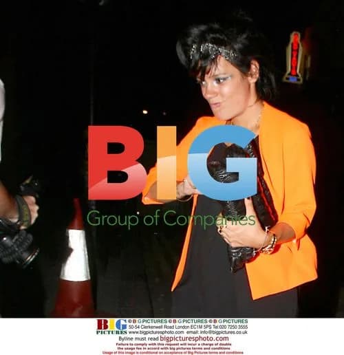 Lily Allen shoves photographer outside London restaurant