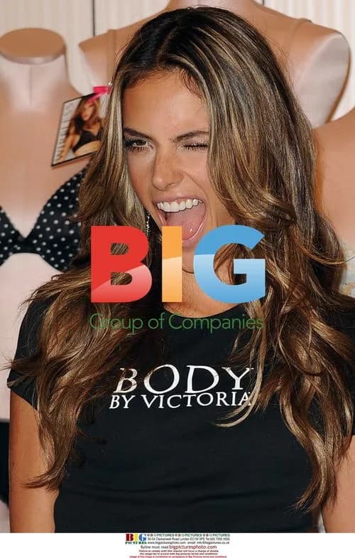 Alessandra Ambrosio Celebrates Victoria's Secret Anniversary