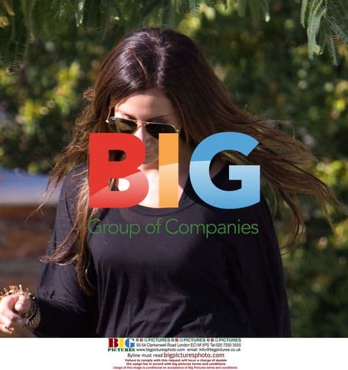 Ashley Tisdale out in Toluca Lake