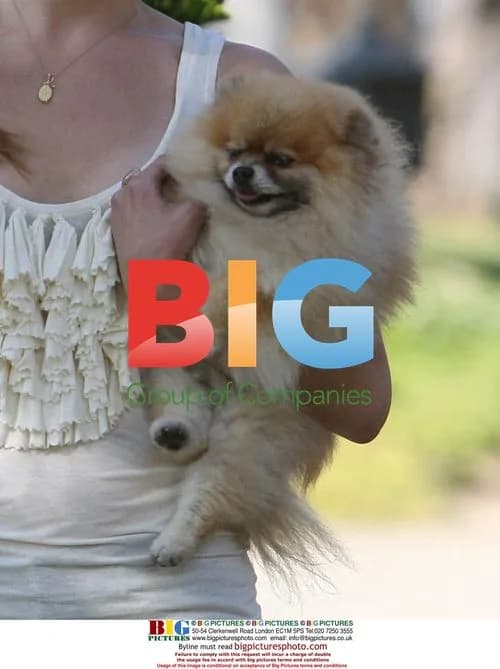 LeAnn Rimes walks dog in LA