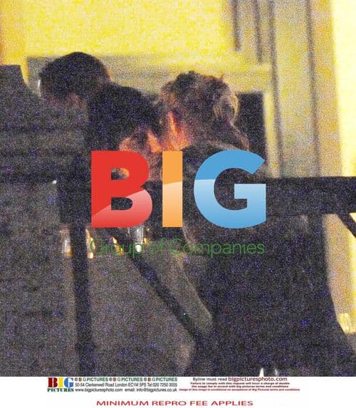 Ronnie Wood and Ekaterina Ivanova's Romantic Dinner