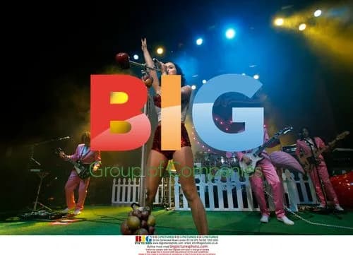 Katy Perry Enmore Theatre Concert