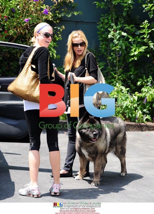 Pregnant Sarah Michelle Gellar takes dog to vet